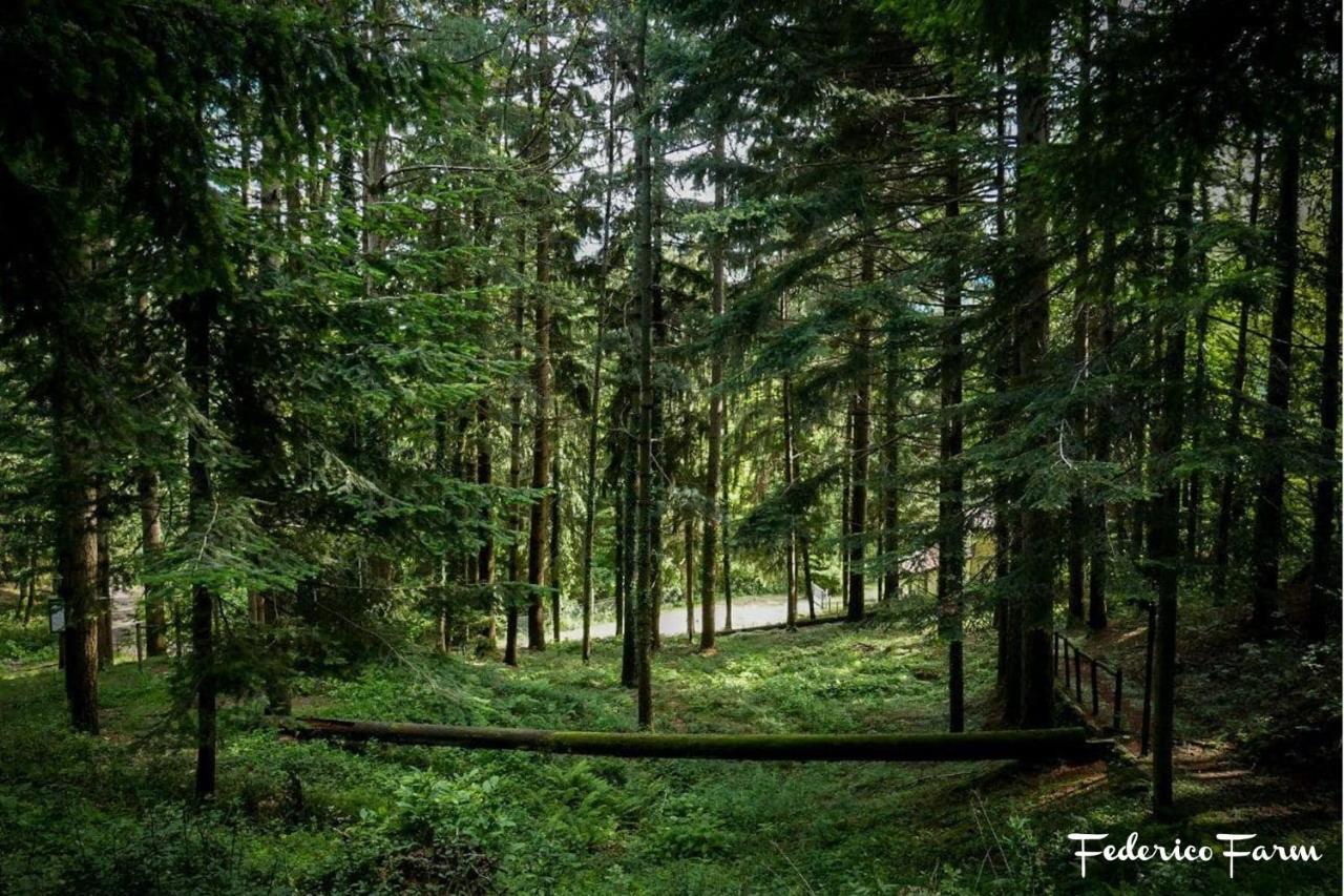 Camping Grondola - Federicofarm Pontremoli Bagian luar foto