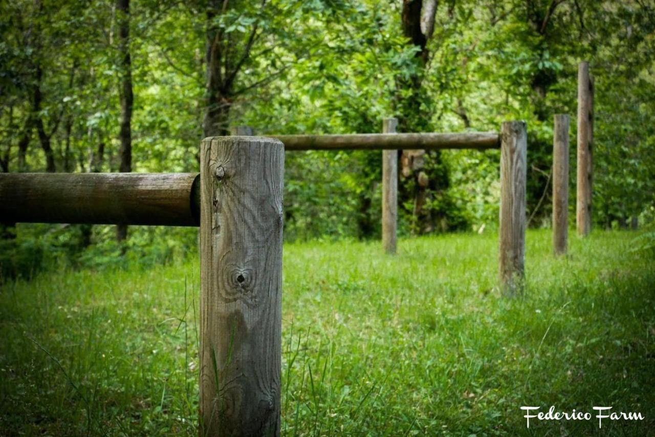 Camping Grondola - Federicofarm Pontremoli Bagian luar foto